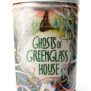 The Stolen Lake eBook Clarion Books Illustrated Greenglass House #2-0